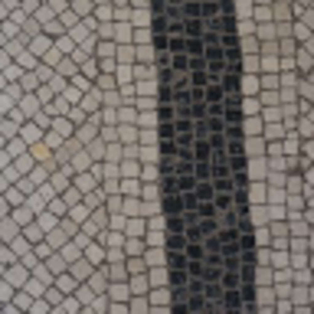 Meet your Posher, Celeste